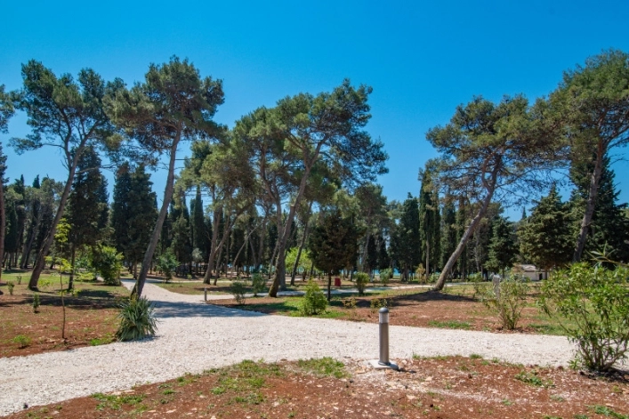 zobacz camping - zdjęcie 18