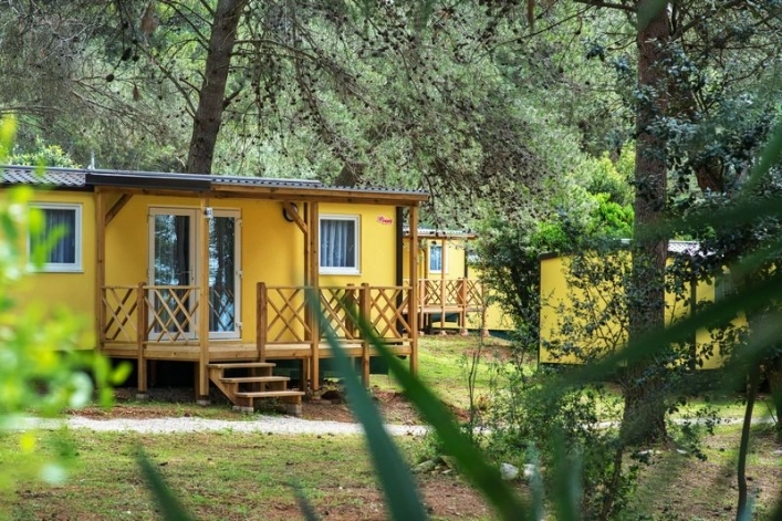 zobacz camping - zdjęcie 13