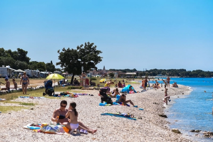 Camping Pineta - zdjęcie 2