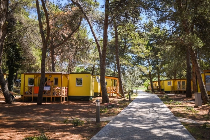 Camping Pineta - zdjęcie 1