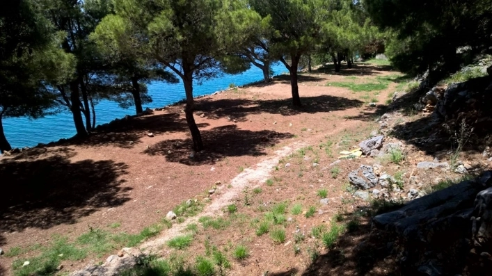 zobacz camping - zdjęcie 18