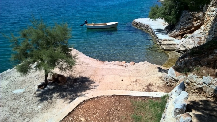 zobacz camping - zdjęcie 2