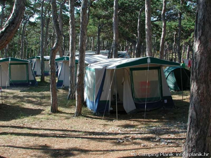 zobacz camping - zdjęcie 49