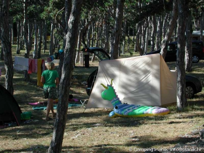 zobacz camping - zdjęcie 47