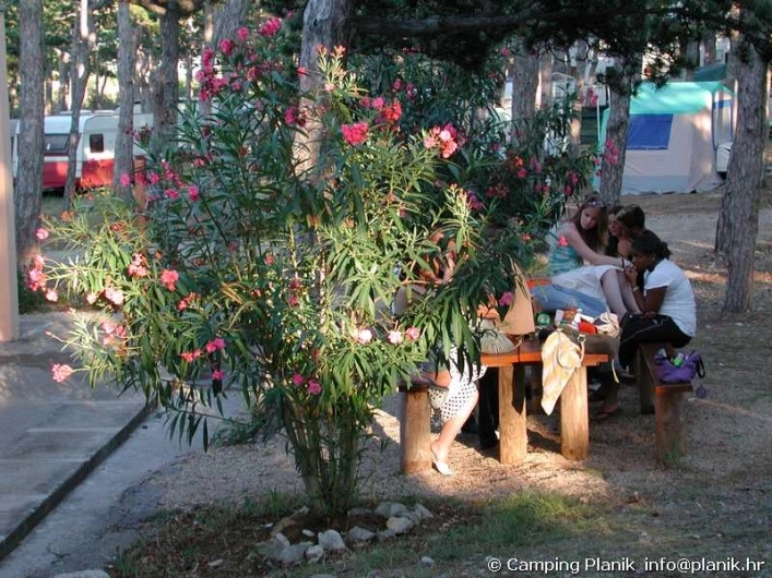 zobacz camping - zdjęcie 41