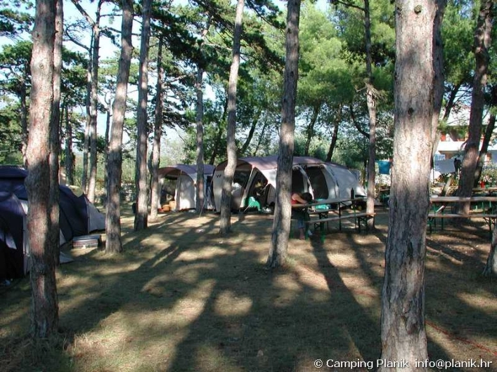 zobacz camping - zdjęcie 31