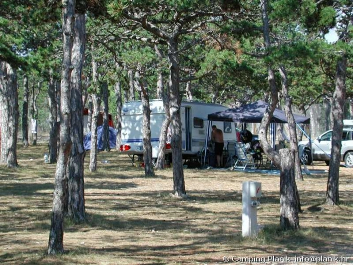 zobacz camping - zdjęcie 25