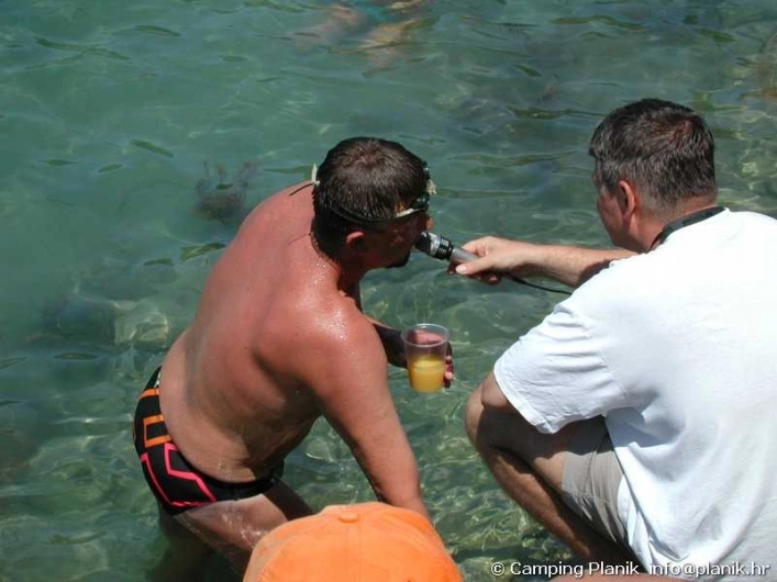 zobacz camping - zdjęcie 11