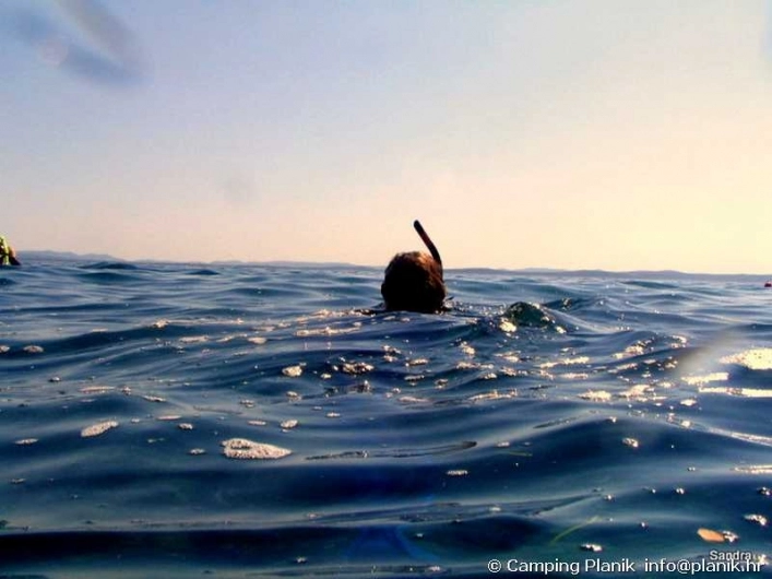 zobacz camping - zdjęcie 10