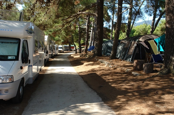 zobacz camping - zdjęcie 13