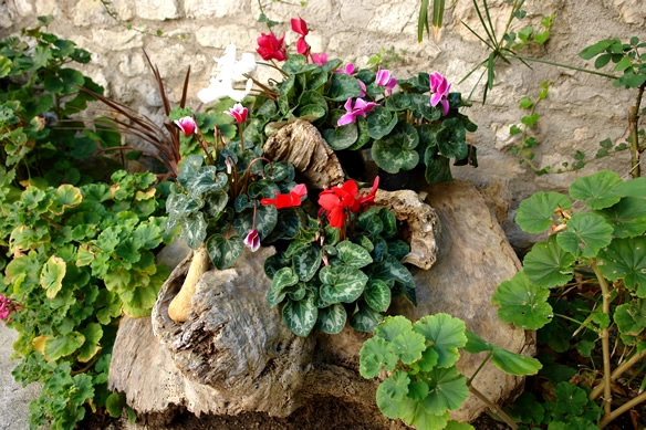 Camping Preko Mosta - zdjęcie 4