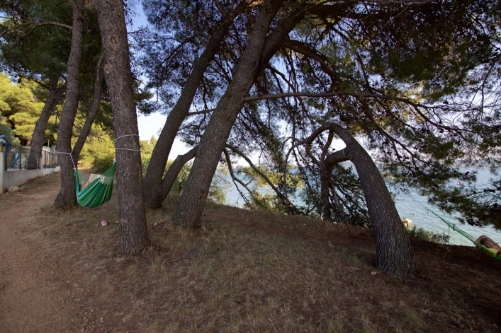 zobacz camping - zdjęcie 16