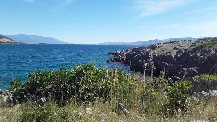 zobacz camping - zdjęcie 12