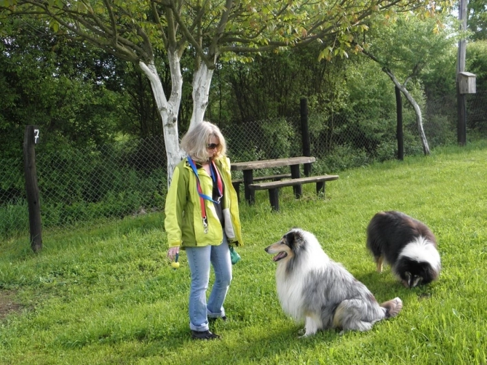 zobacz camping - zdjęcie 10