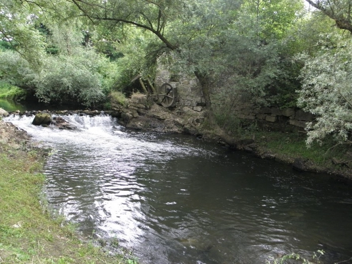 zobacz camping - zdjęcie 6