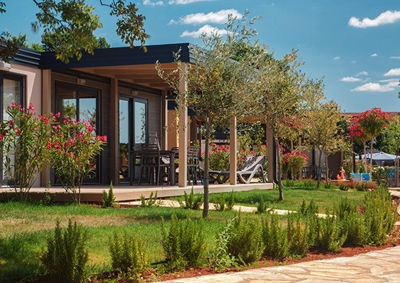 zobacz camping - zdjęcie 13