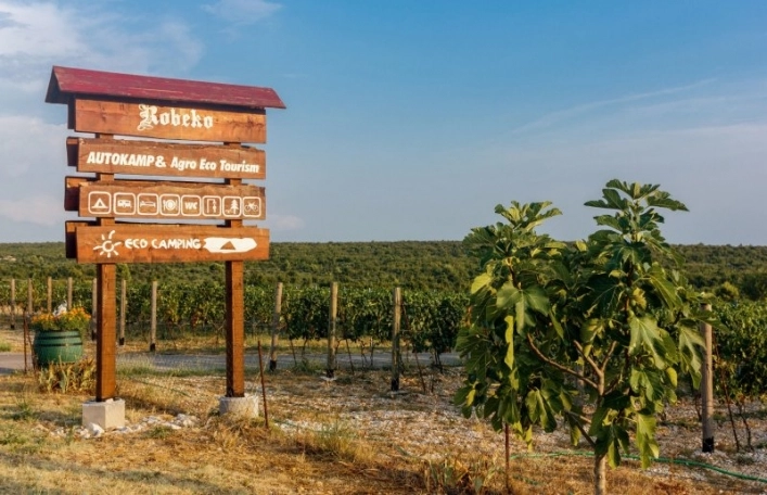 zobacz camping - zdjęcie 20