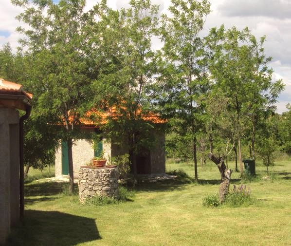 zobacz camping - zdjęcie 19