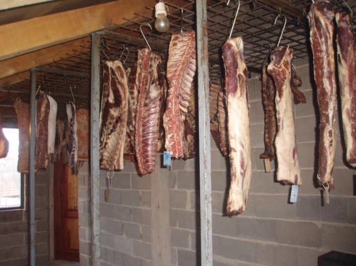 zobacz camping - zdjęcie 18