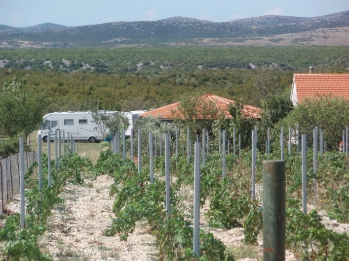 zobacz camping - zdjęcie 14