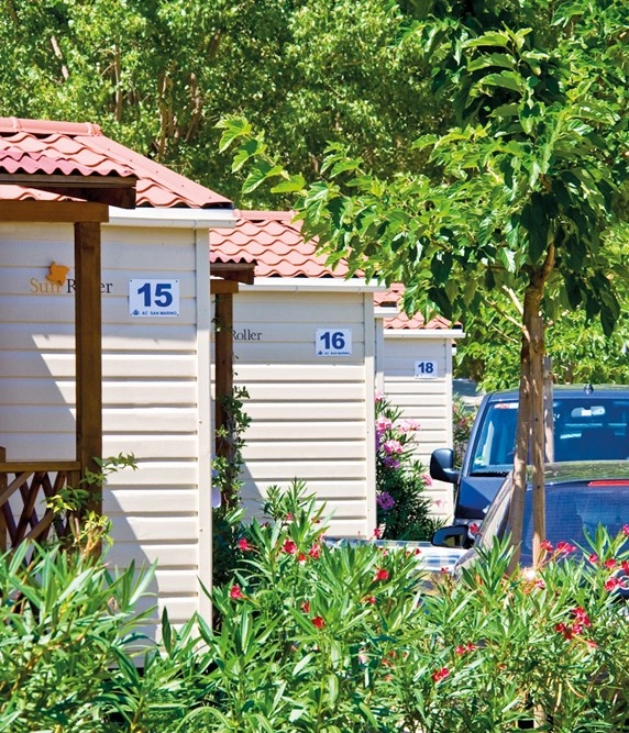 zobacz camping - zdjęcie 16