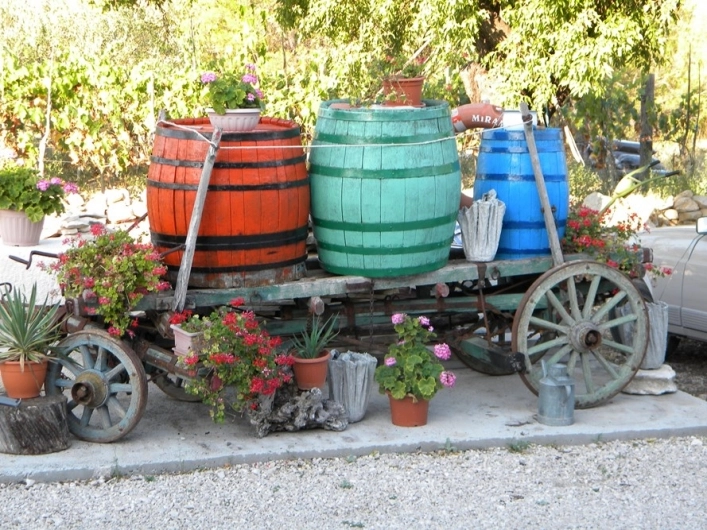 zobacz camping - zdjęcie 6