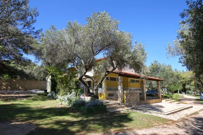 zobacz camping - zdjęcie 13