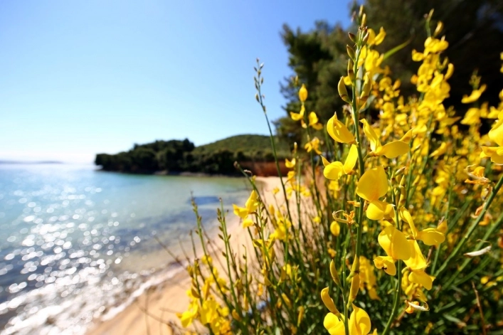 zobacz camping - zdjęcie 1