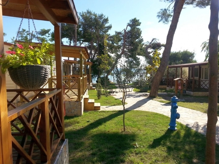 zobacz camping - zdjęcie 18