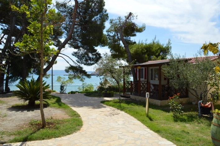 zobacz camping - zdjęcie 15