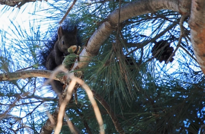 zobacz camping - zdjęcie 7