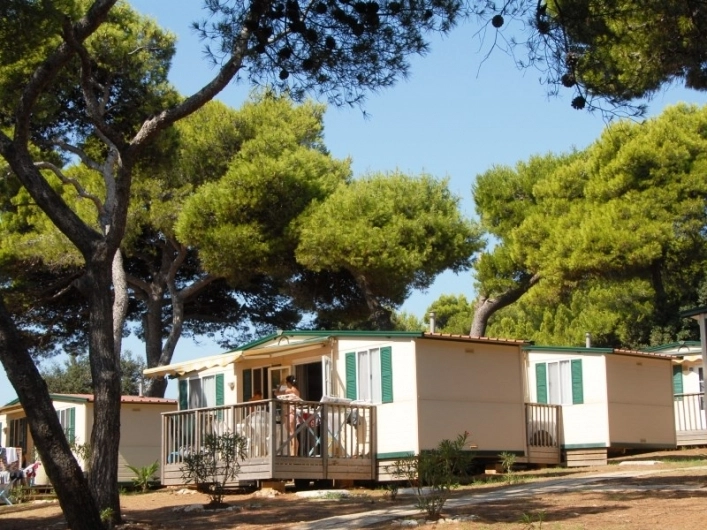 zobacz camping - zdjęcie 7