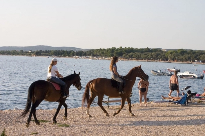 zobacz camping - zdjęcie 28