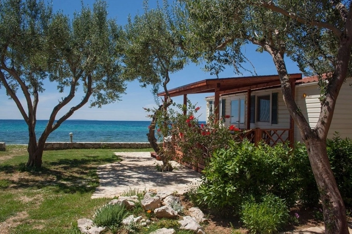 zobacz camping - zdjęcie 11