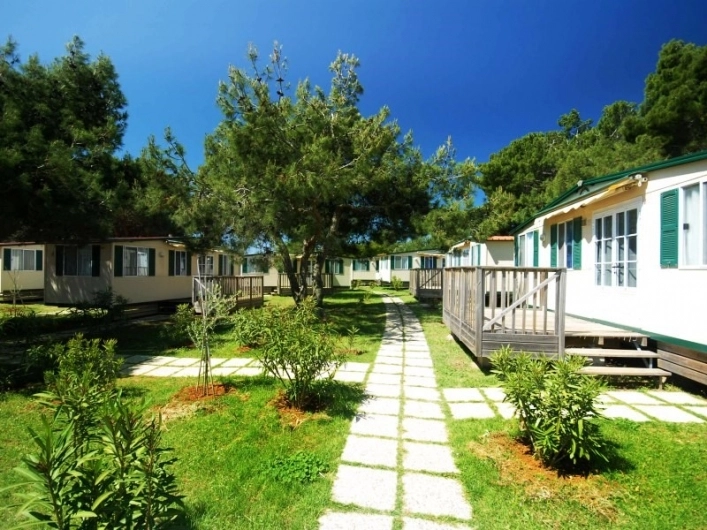 zobacz camping - zdjęcie 3