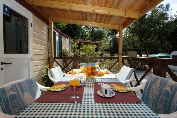 zobacz camping - zdjęcie 2