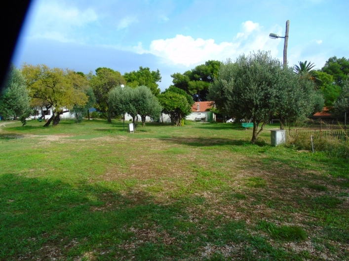 zobacz camping - zdjęcie 16