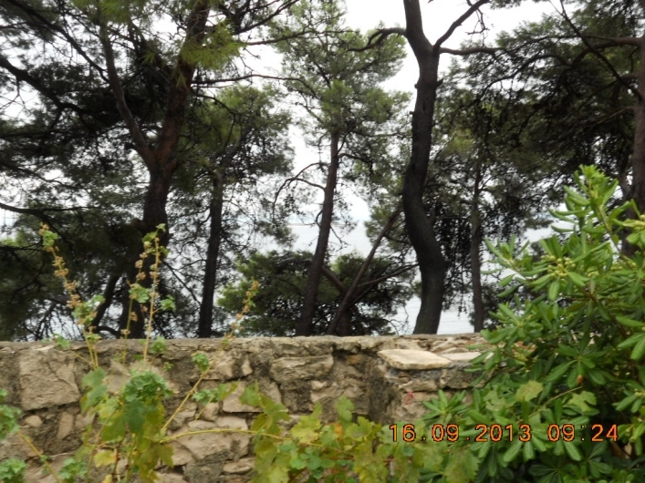 zobacz camping - zdjęcie 14