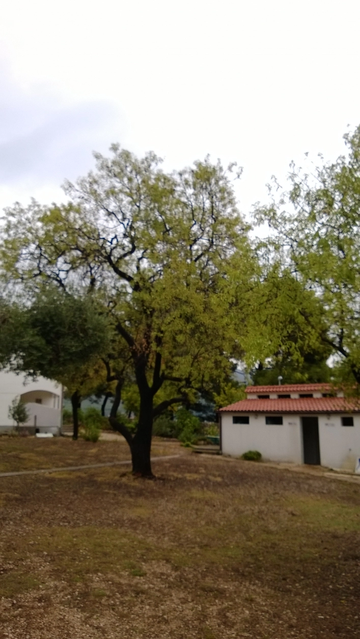 zobacz camping - zdjęcie 11