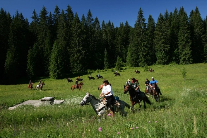 zobacz camping - zdjęcie 13