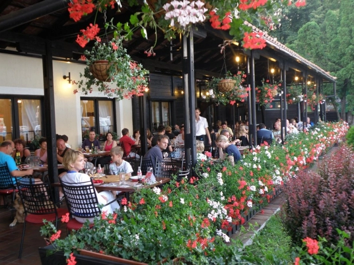 zobacz camping - zdjęcie 9