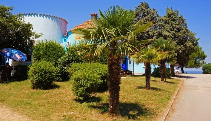 zobacz camping - zdjęcie 25