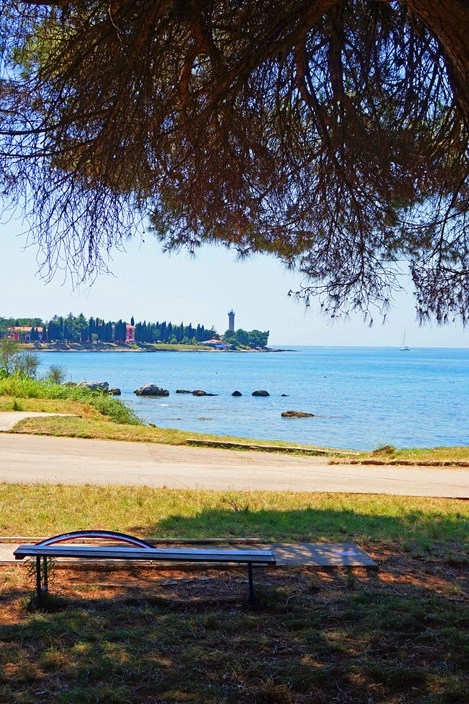 zobacz camping - zdjęcie 22