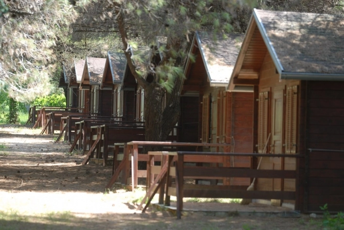 zobacz camping - zdjęcie 21