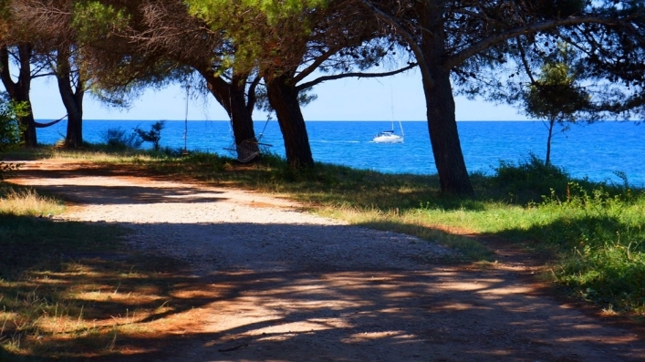 zobacz camping - zdjęcie 16