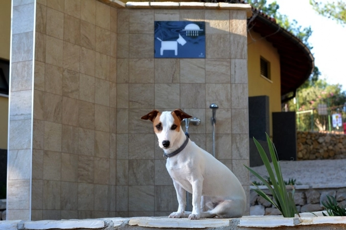 zobacz camping - zdjęcie 7