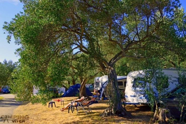 zobacz camping - zdjęcie 21