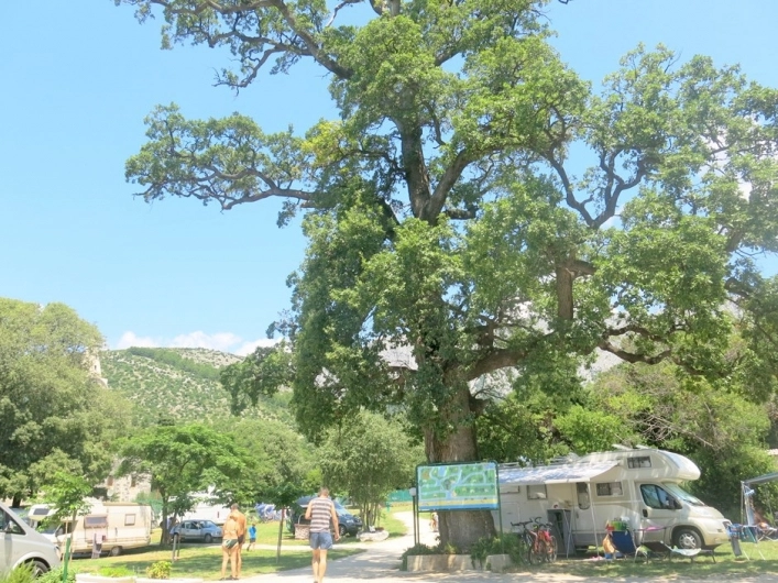 zobacz camping - zdjęcie 12