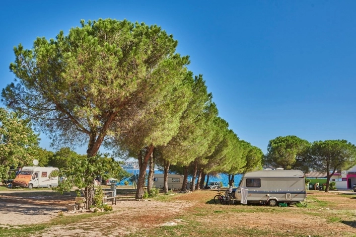 zobacz camping - zdjęcie 3