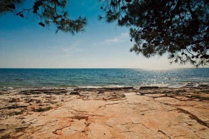 zobacz camping - zdjęcie 13